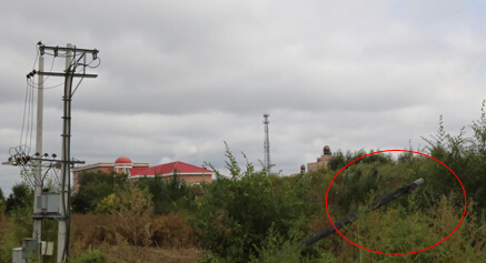 呼兰电伤白叟电缆仍“躺”原地 电缆仍“躺”原地